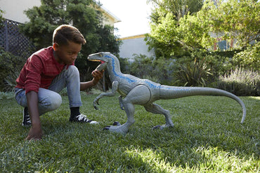 Jurassic World- Dino Rivals Velociraptor Blu Dinosauro Articolato da 90 cm, Giocattolo per Bambini 3+Anni,